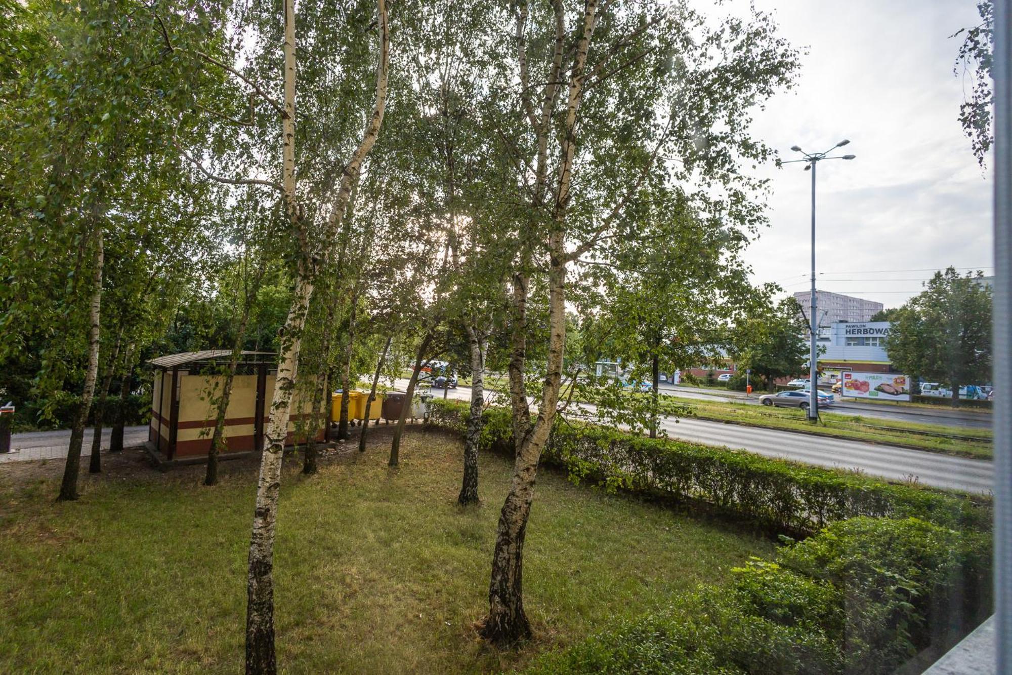 Stary Toruń Apartament Verde By Rentoom מראה חיצוני תמונה